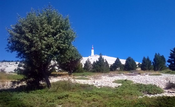 Vue sur le sommet