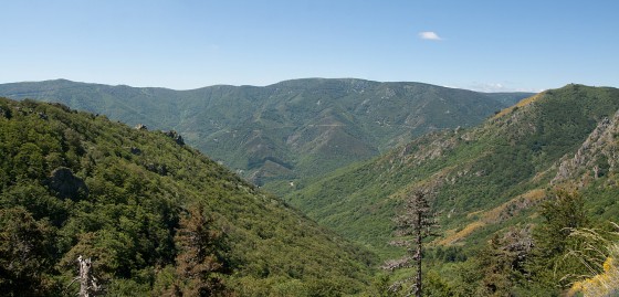 Vue sur le Tanargue