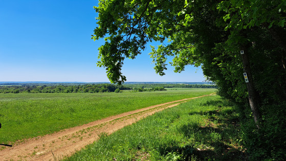 Vue sur le Toulois