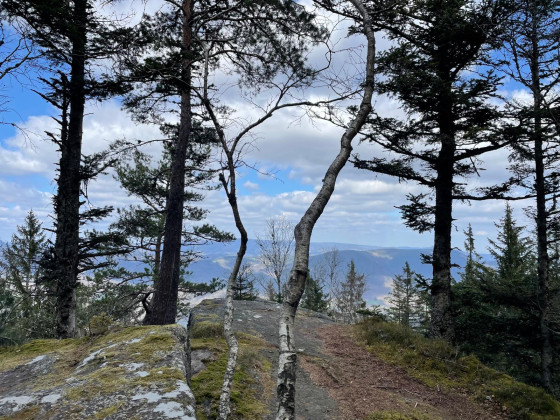 Vue sur le vall&eacute;e de Ste Marie aux mines