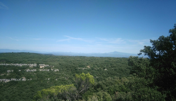 Vue sur le Ventoux