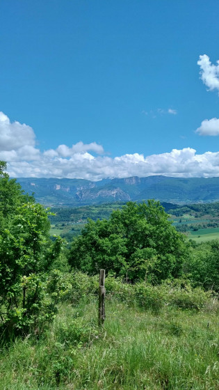 Vue sur le Vercors depuis une trouée dans la forêt