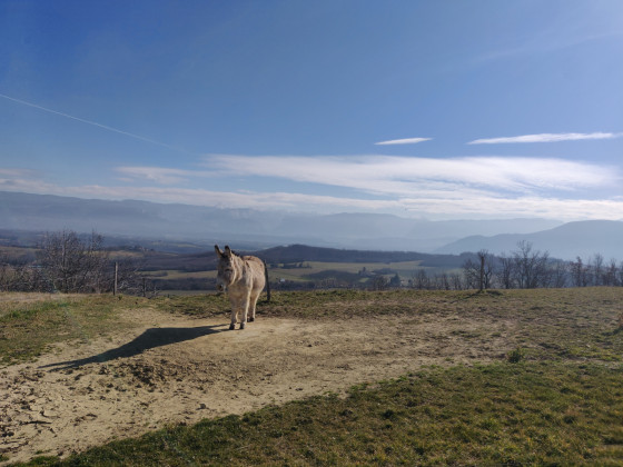 Vue sur le Vercors
