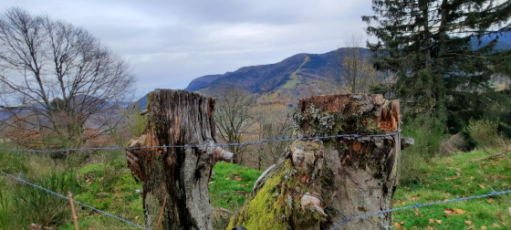 vue sur le versant