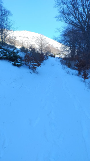 Vue sur le Veyou.