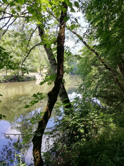 Vue sur le Viaur