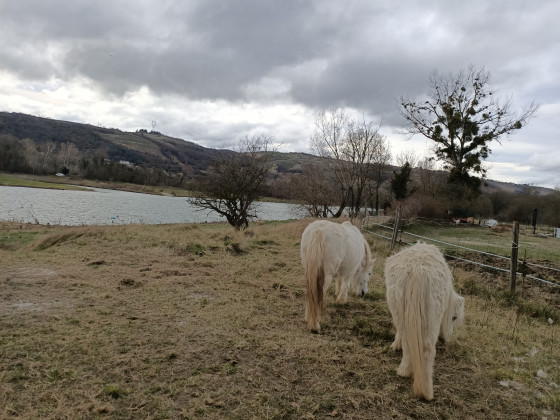 Vue sur le vieux Rhône
