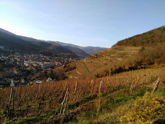 Vue sur le vignoble et la ville