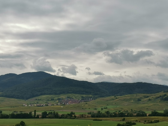 Vue sur le vignoble
