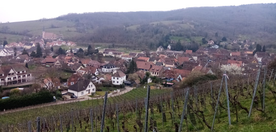 Vue sur le village d\'Andlau