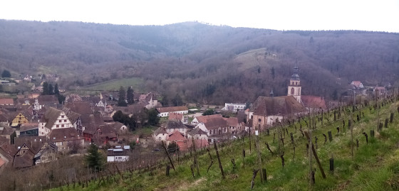 Vue sur le village d\'Andlau
