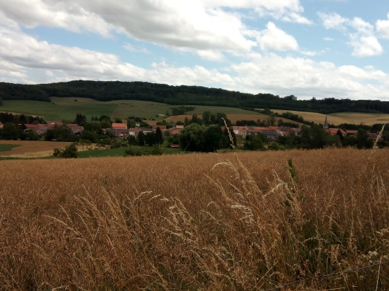 Vue sur le village de Burtoncourt
