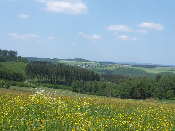 Vue sur le village de Oizy