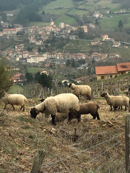 Vue sur le village