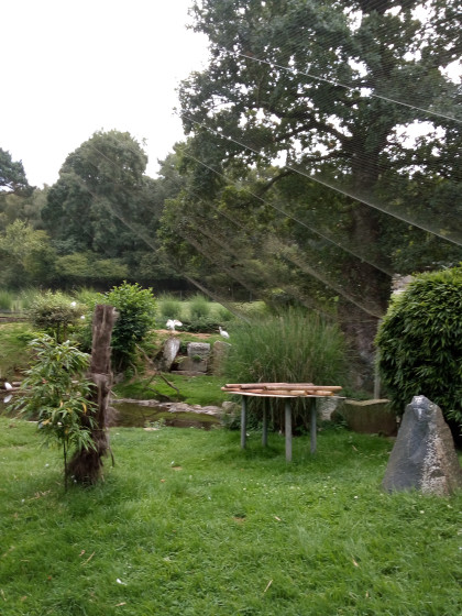 vue sur le zoo de Trégomeur