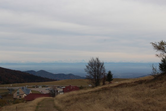 Vue sur les Alpes