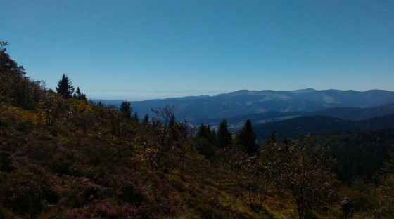 Vue sur les Alpes