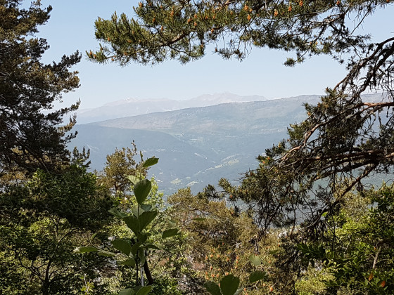 Vue sur les Alpes