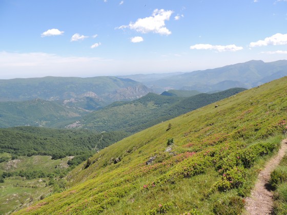 Vue sur les Bois
