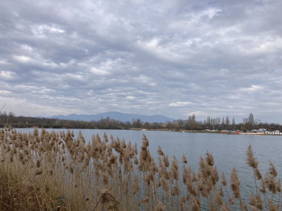 Vue sur les bords du lac de Reiningue