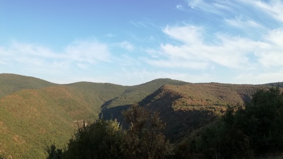 Vue sur les Cévennes