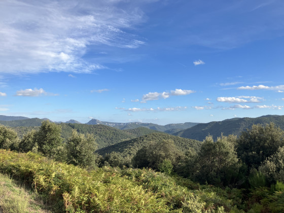 Vue sur les Cévennes