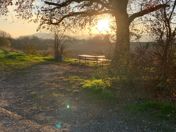 Vue sur les Monts d\'or, à travers les ramages, table de picnic