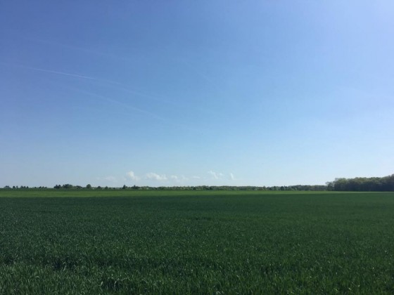 Vue sur les champs