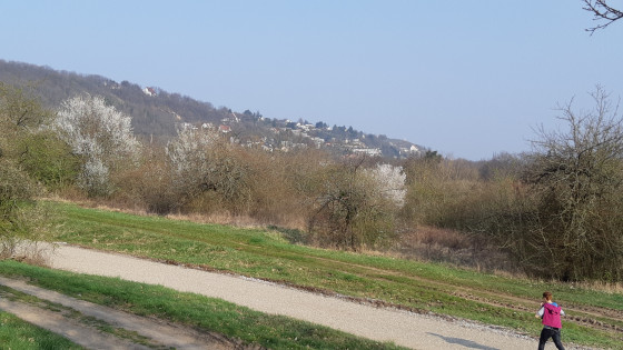 Vue sur les coteaux d\'Obernai et la croix du Mont National