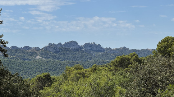 Vue sur les Dentelles de Montmirail
