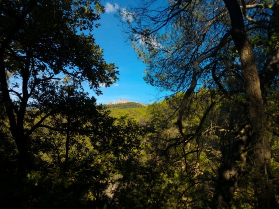Vue sur les Dentelles