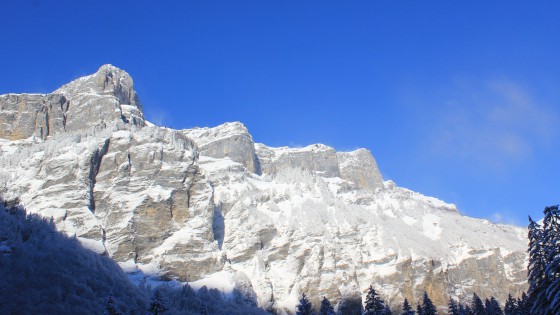 Vue sur les dents blanches