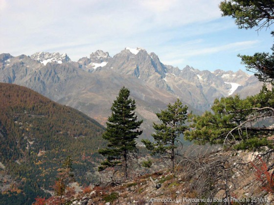 Vue sur les Ecrins.
