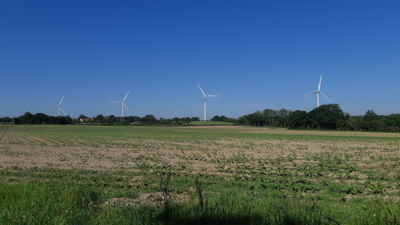 Vue sur les éoliènnes avant d'entrer dans le champ