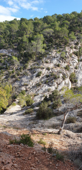 Vue sur les escaliers taill&eacute;s dans la roche
