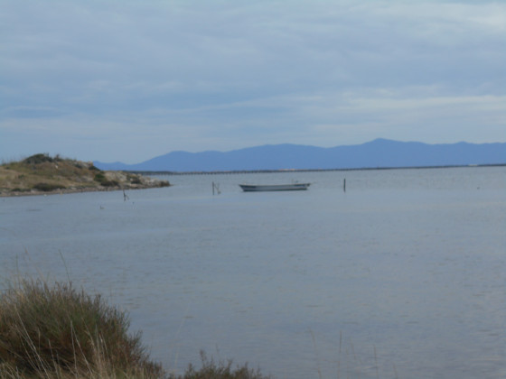 Vue sur les étangs de pêcheurs