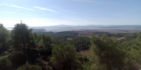 vue sur les étangs