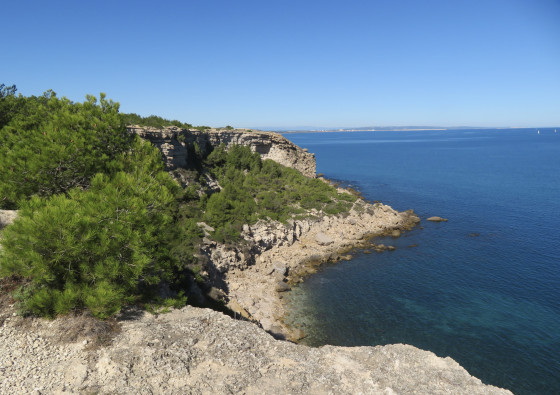 Vue sur les falaises