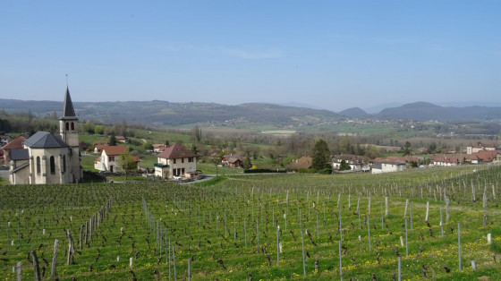 Vue sur les hauteurs de Jongieux