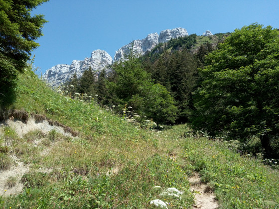 Vue sur les Lances de Malissard