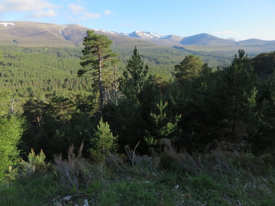 Vue sur les montagnes