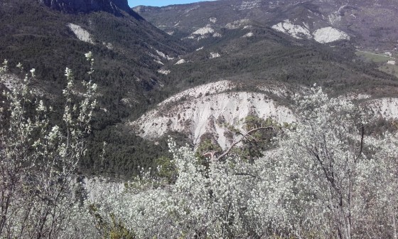 Vue sur les montagnes