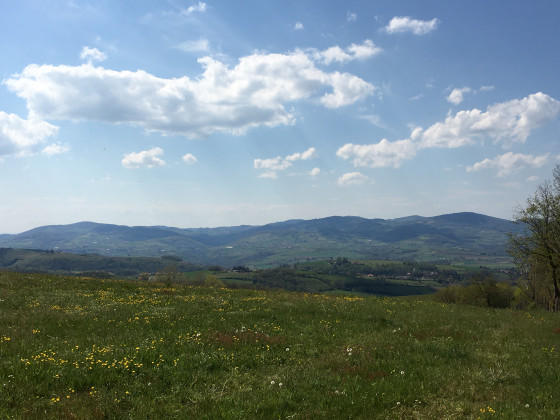 Vue sur les Monts de l'Arbresle
