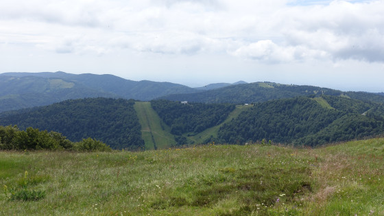 Vue sur les pistes de ski du Langenberg et au fond le Baerenkopf