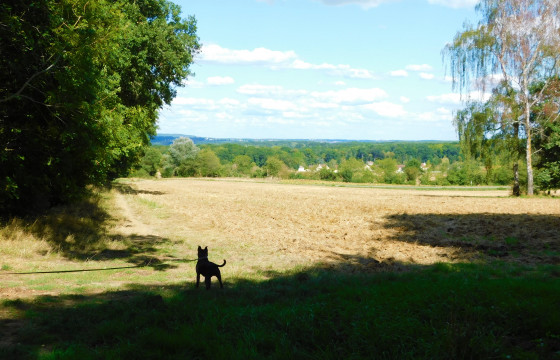 Vue sur les prairies