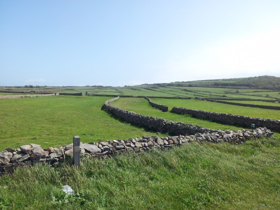 Vue sur les prés au départ de Goury