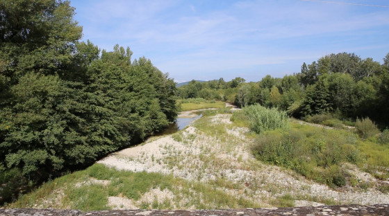 Vue sur les rami&egrave;res de Bonlieu