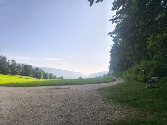 Vue sur les sommets avant le retour en for&ecirc;t