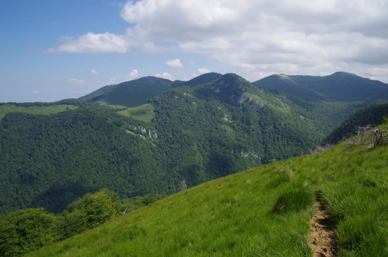 Vue sur les sources de la Bidouze