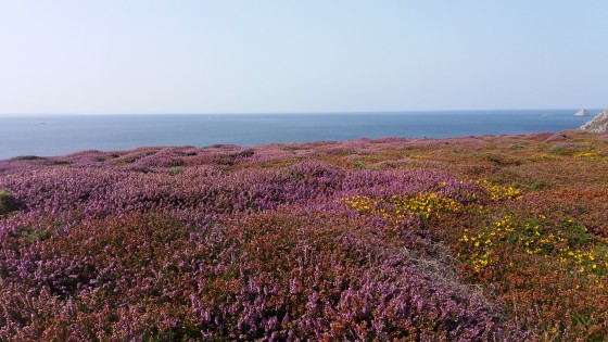 Vue sur les Tas de Pois